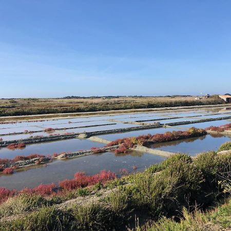 Les Pois Sont Verts La Rochelle  Extérieur photo