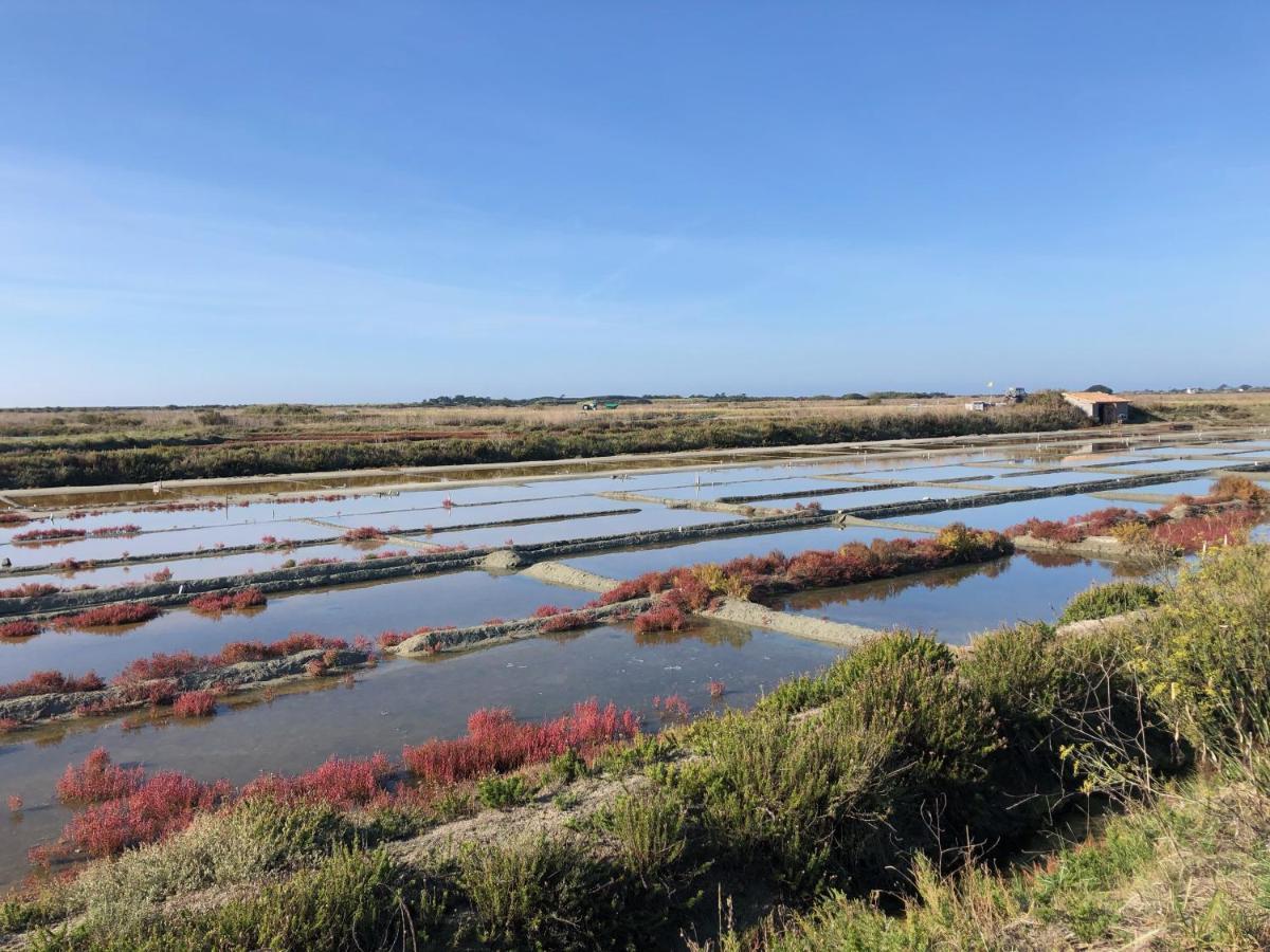Les Pois Sont Verts La Rochelle  Extérieur photo